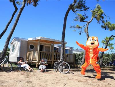 Promo campsite Vendée at La Pomme de Pin