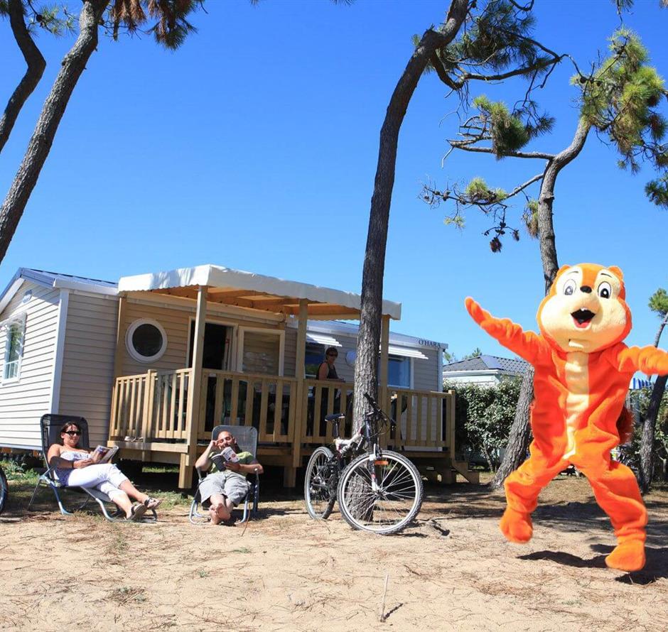 Promo campsite Vendée at La Pomme de Pin - ST HILAIRE DE RIEZ CAMPSITE