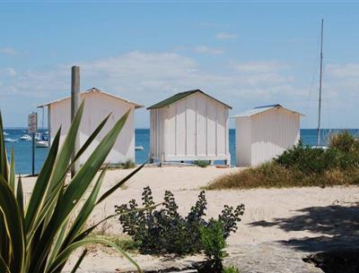Visit Noirmoutier island close to campsite La Pomme de Pin at St Hilaire de Riez