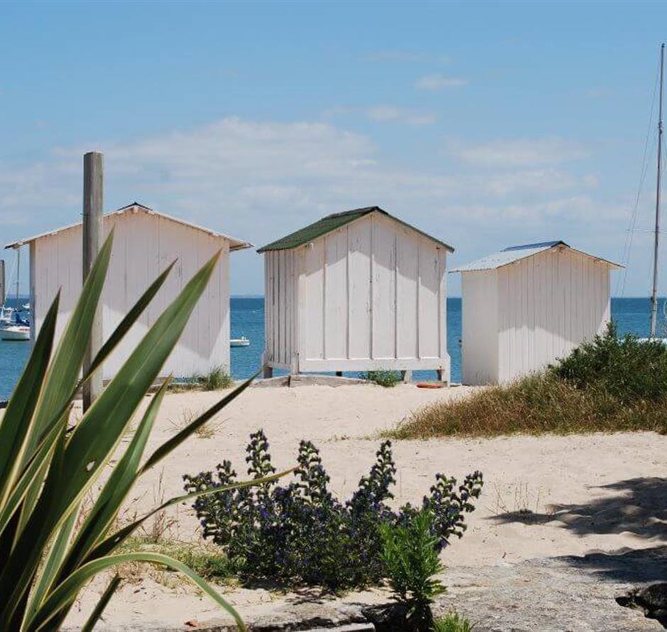Visit Noirmoutier island close to campsite La Pomme de Pin at St Hilaire de Riez - ST HILAIRE DE RIEZ CAMPSITE