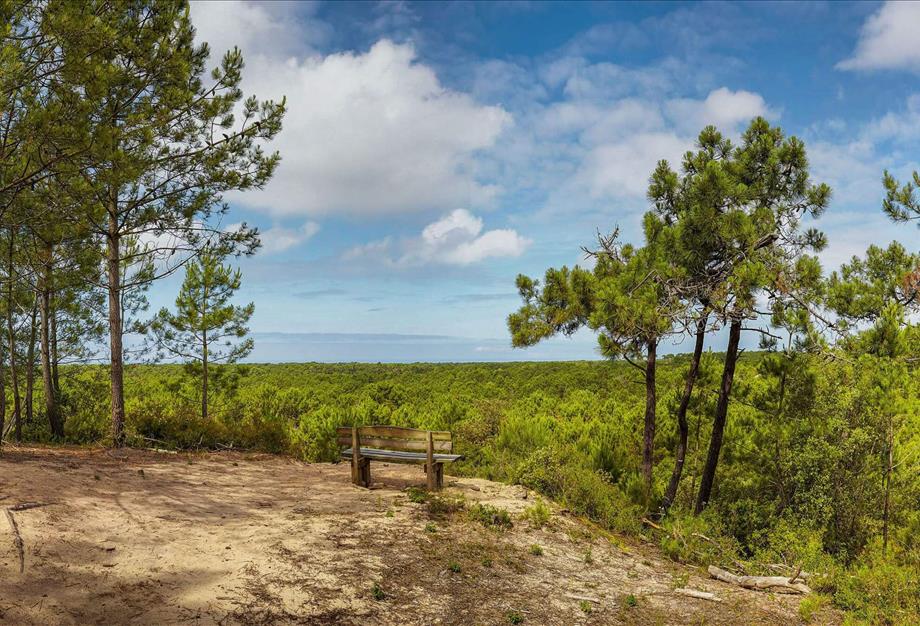 to discover around st hilaire de riez - ST HILAIRE DE RIEZ CAMPSITE