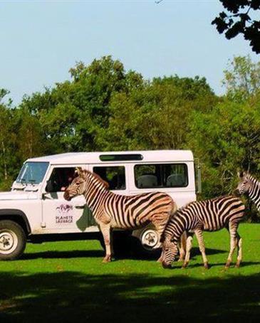 wild planet wildlife safari - ST HILAIRE DE RIEZ CAMPSITE