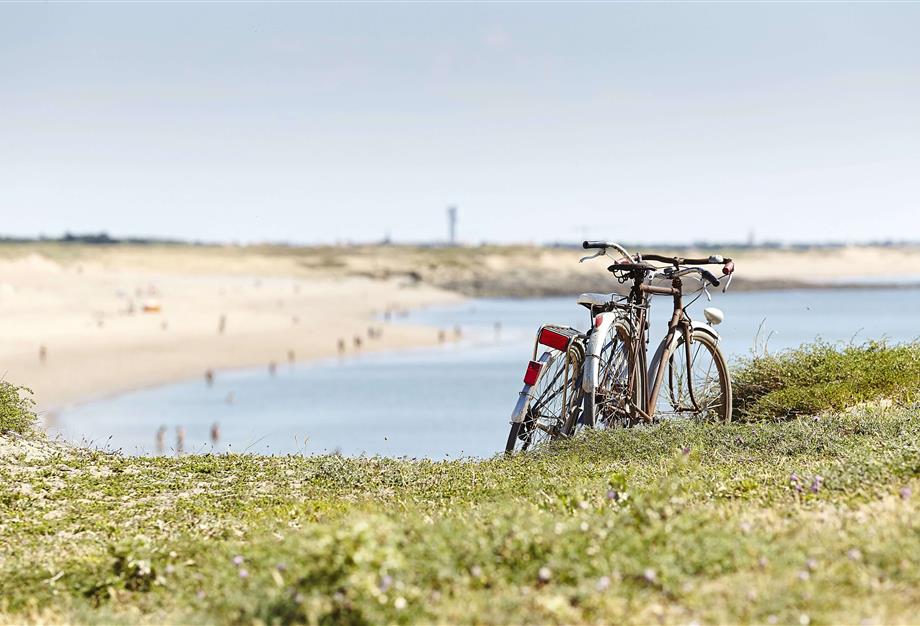discover the Vendée by bike - ST HILAIRE DE RIEZ CAMPSITE