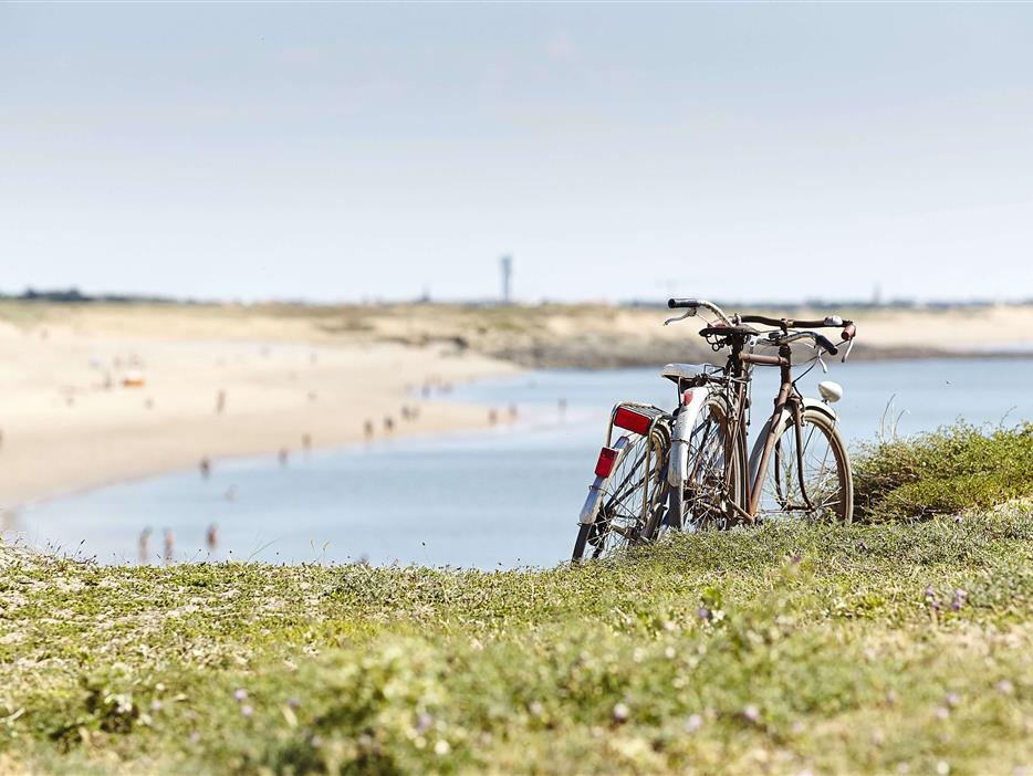 discover the Vendée by bike - ST HILAIRE DE RIEZ CAMPSITE