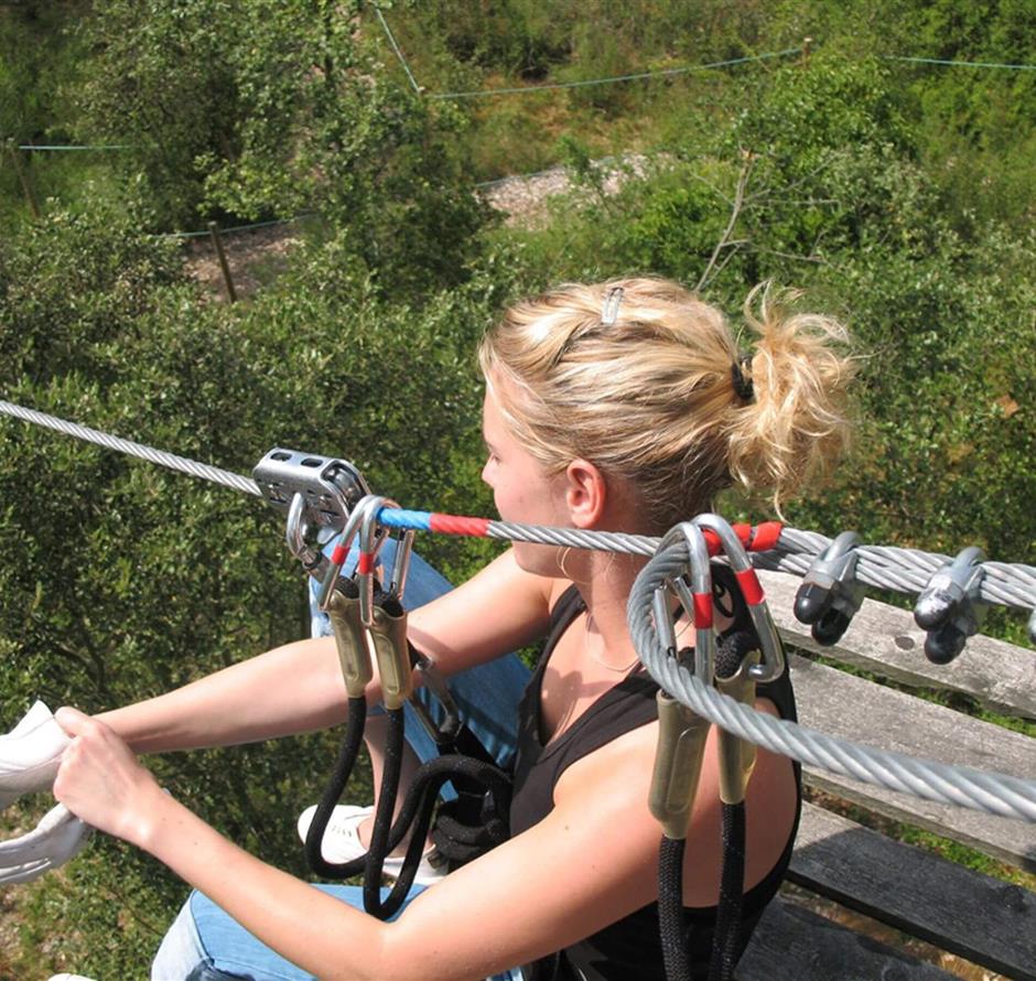 tree climbing near st hilaire de riez - ST HILAIRE DE RIEZ CAMPSITE