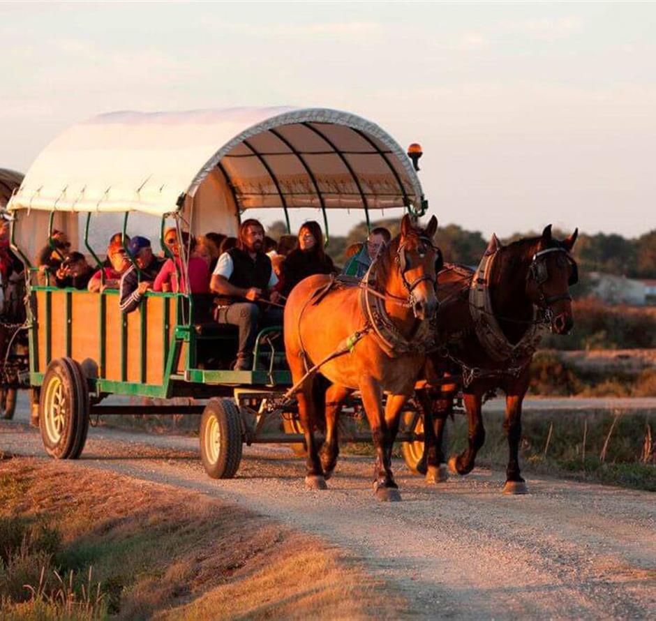 ST HILAIRE DE RIEZ CAMPSITE