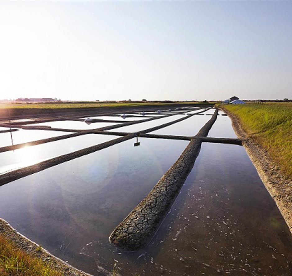 Salt marshes close to La Pomme de Pin - ST HILAIRE DE RIEZ CAMPSITE