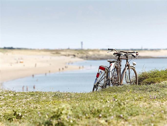 campsite close to the beach and cycle path