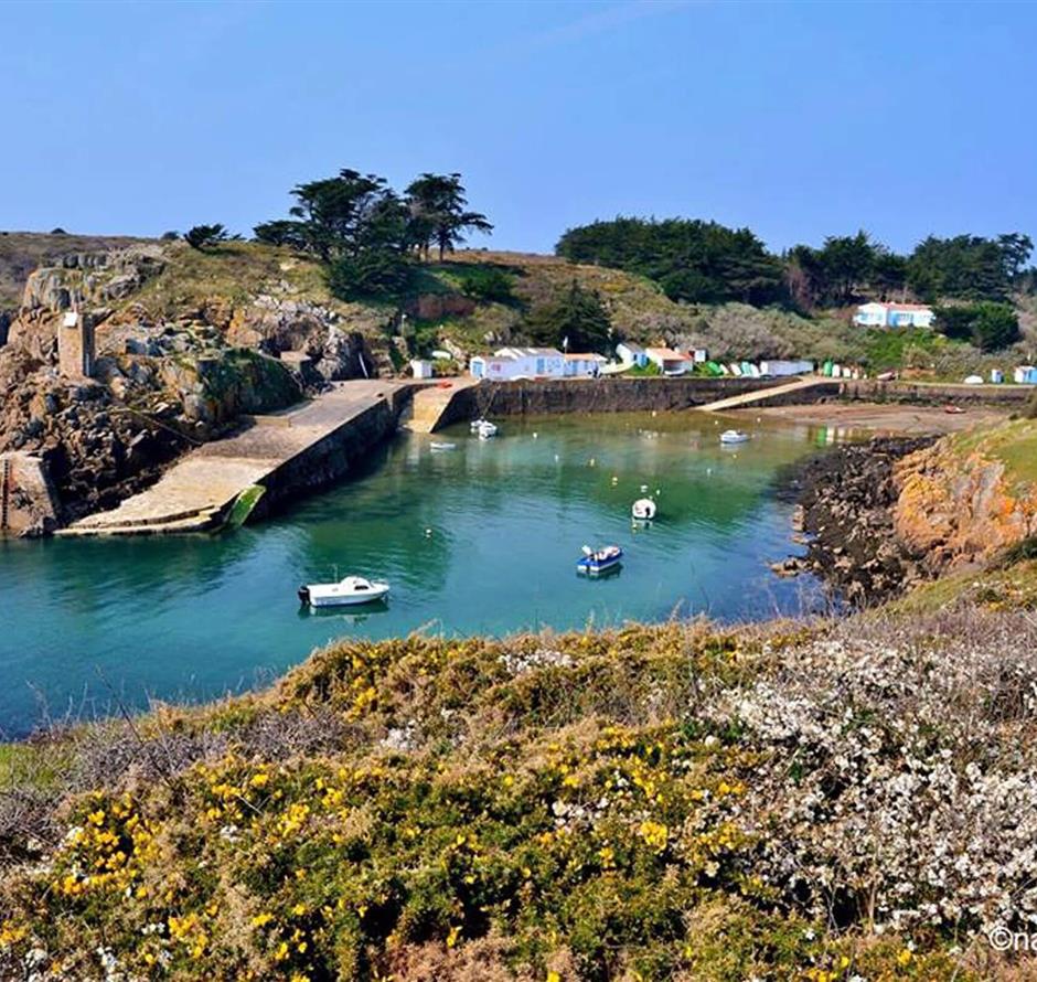 Visit to île d'Yeu close to campsite La Pomme de Pin at St Hilaire de Riez - ST HILAIRE DE RIEZ CAMPSITE