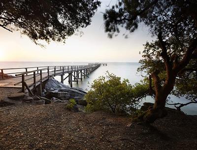 Visit Noirmoutier island close to campsite La Pomme de Pin at St Hilaire de Riez