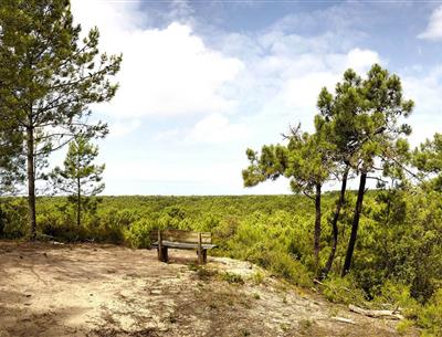 Seaside resort of St Jean de Monts close to the campsite la pomme de pin