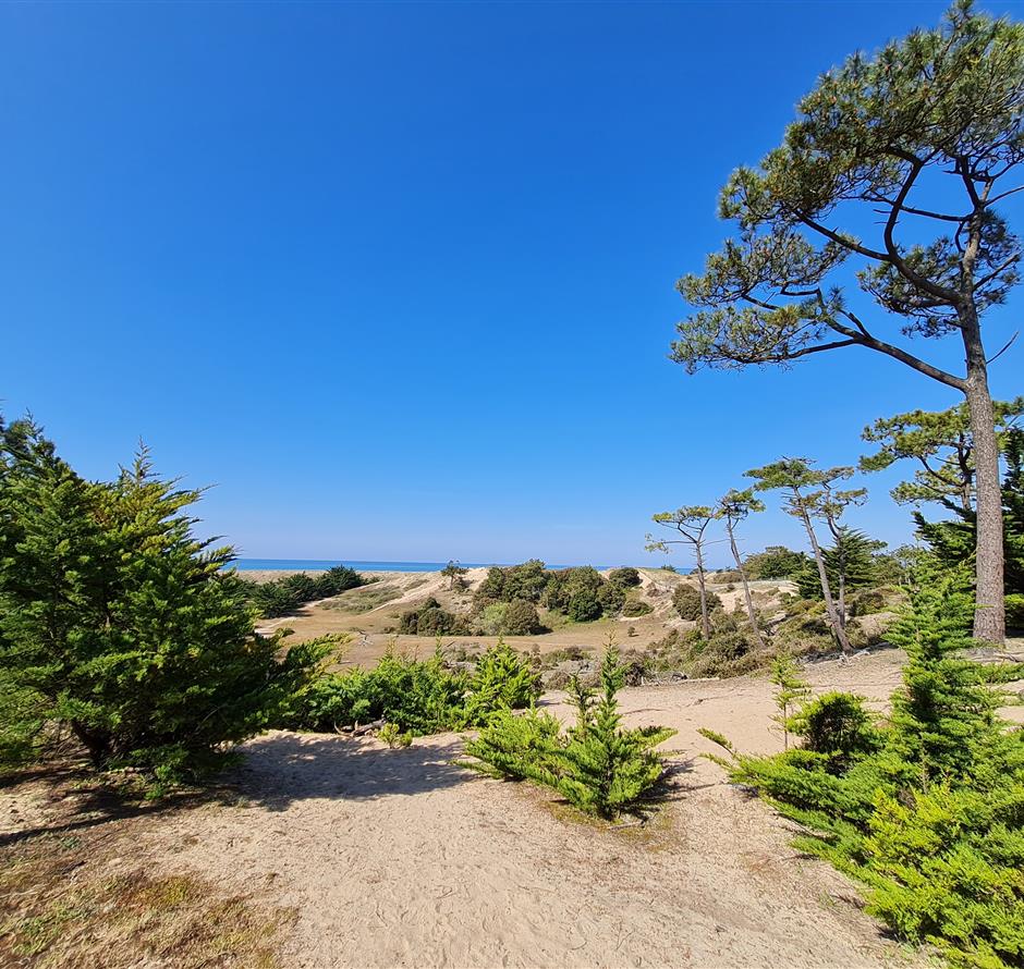 campsite with direct access to st hilaire beach - ST HILAIRE DE RIEZ CAMPSITE