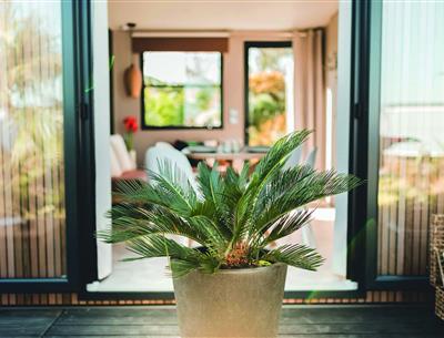 cottage patio and spa 6 pers 3 bdr 1 bth