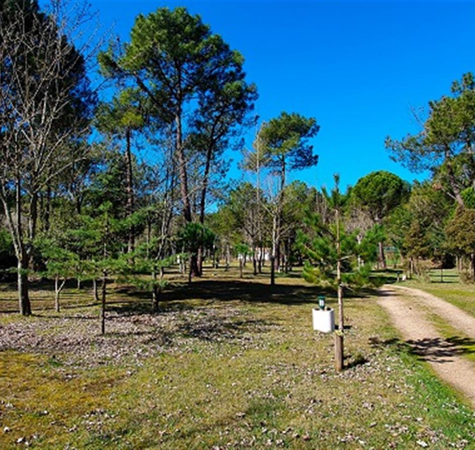ST HILAIRE DE RIEZ CAMPSITE